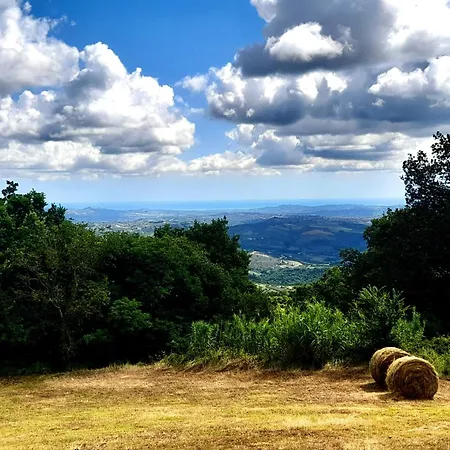 Maria Pia Montebello di Bertona